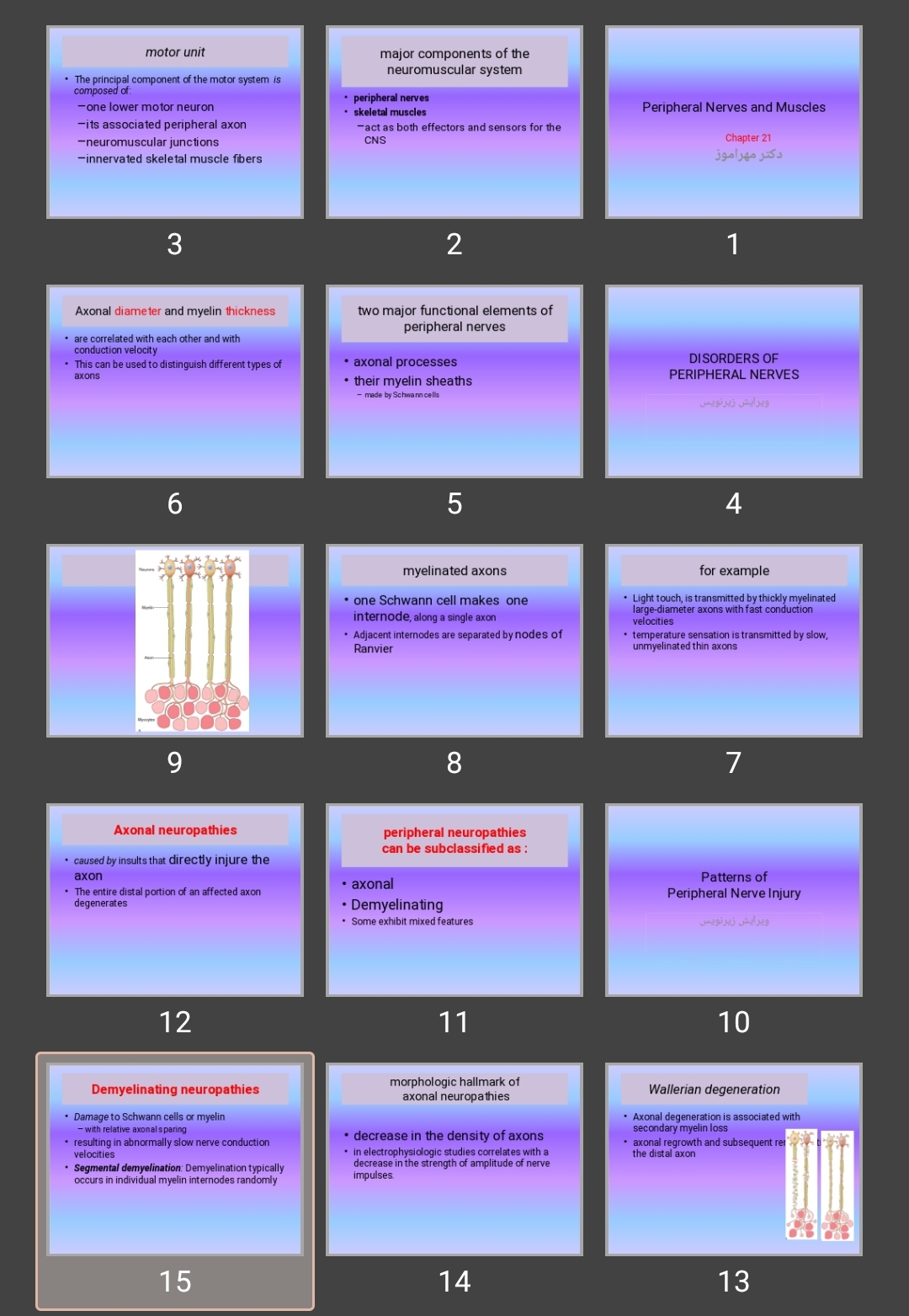 پاورپوینت Peripheral Nerves and Muscles اعصاب محیطی