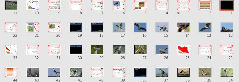 پاورپوینت شناخت پرنده گان ایران