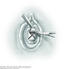 جدیدترین فایل های فاپول