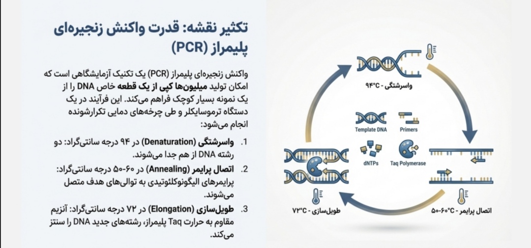 پاورپوینت /PDF تخصصی -مروری بر فصول اصول بیوتکنولوژی گیاهی