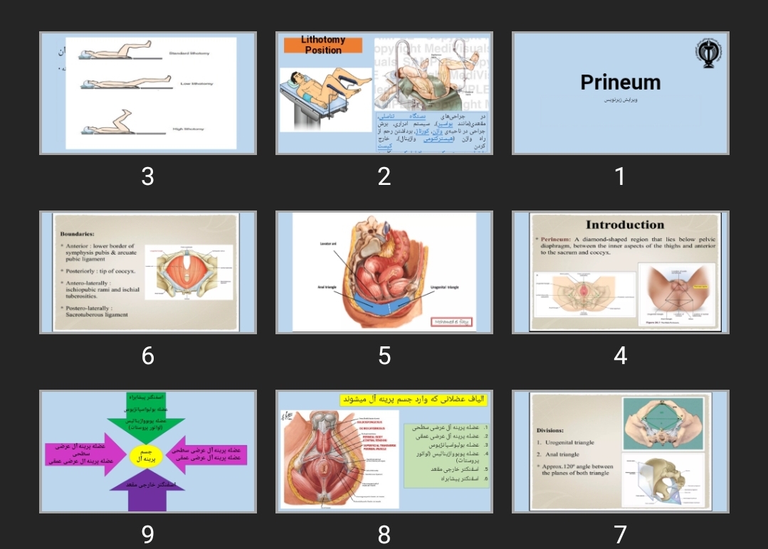 پاورپوینت Prineum