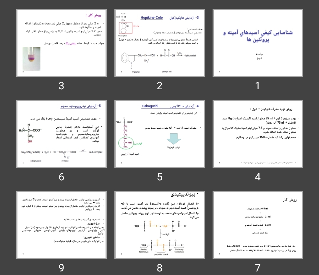 پاورپوینت شناسایی كيفی اسيدهای آمينه و پروتئین ها
