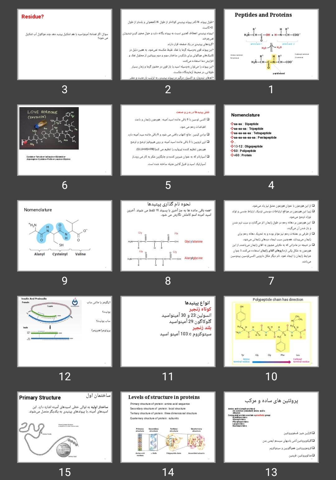 پاورپوینت Peptides and Proteins