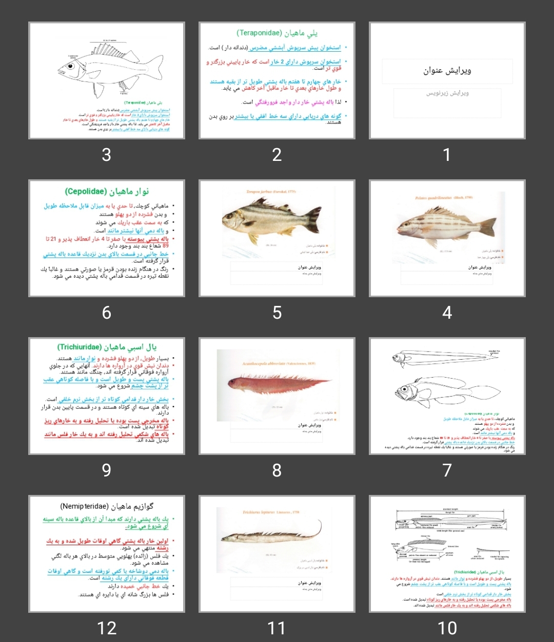 پاورپوینت ماهی يلی، نوار، يال اسبی، گوازيم، ماه، گيش كاذب