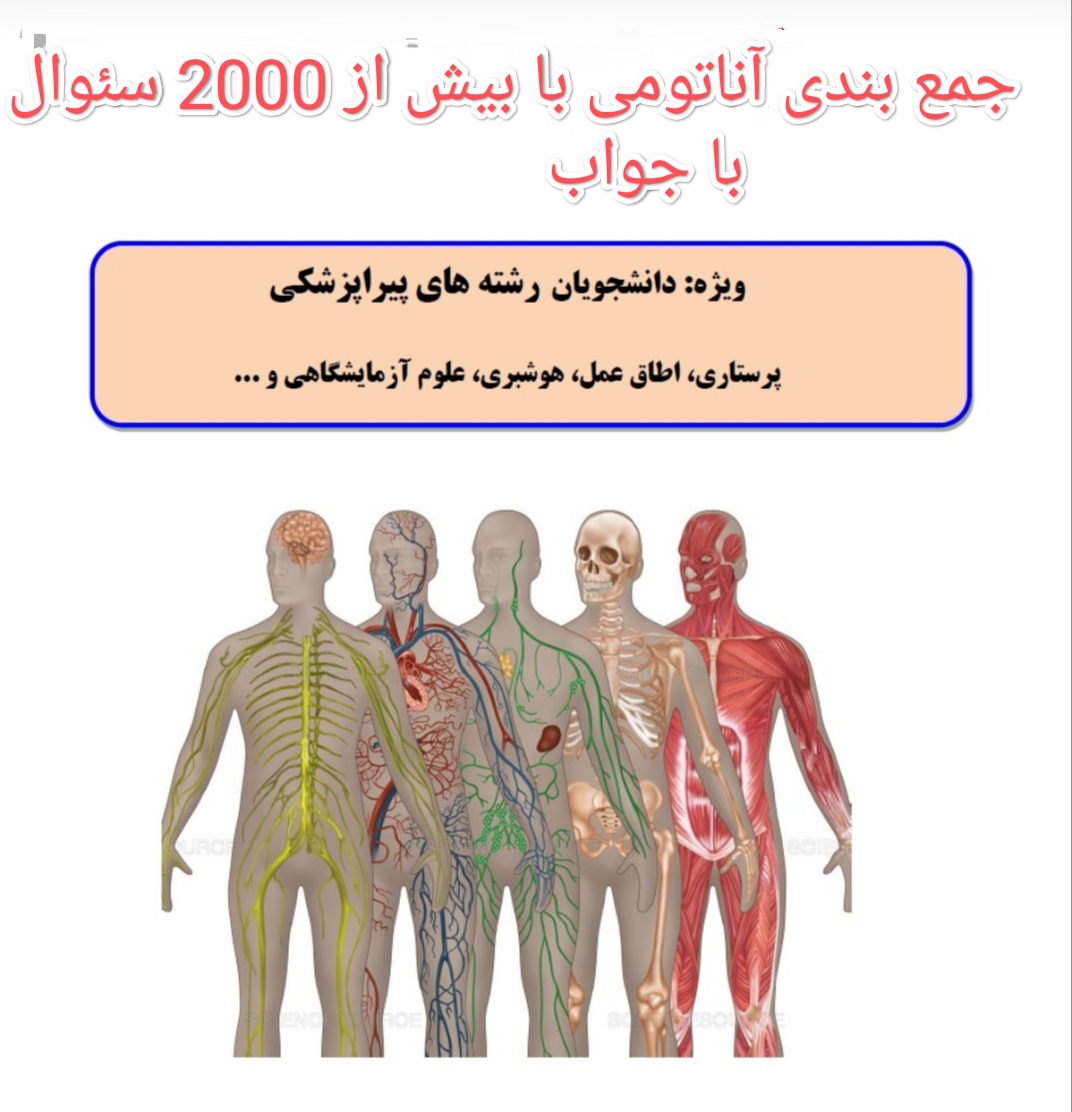 جزوه آناتومی ۲۰۰۰ سوال و جواب کلیدی آناتومی بهترین منبع برای جمع بندی آناتومی برای استخدامی و ارشد