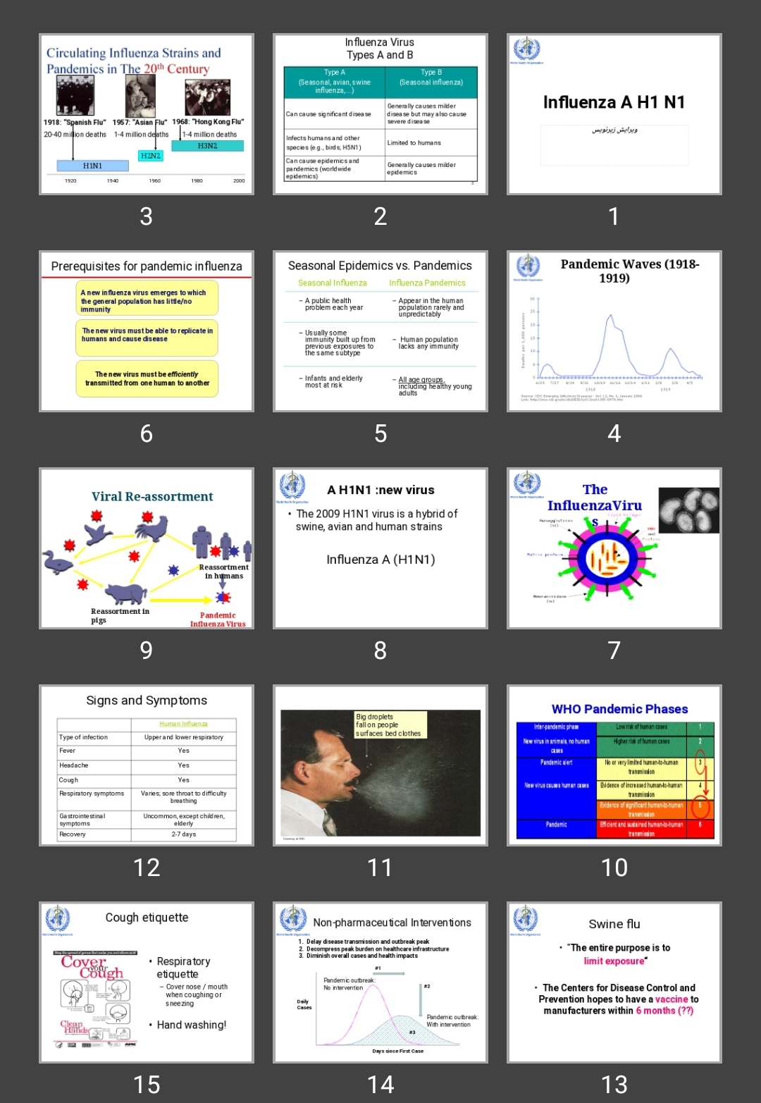 پاورپوینت Influenza A H1 N1