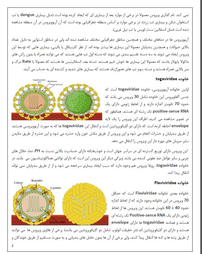 جزوه ویروس شناسی بصورت فایل pdf