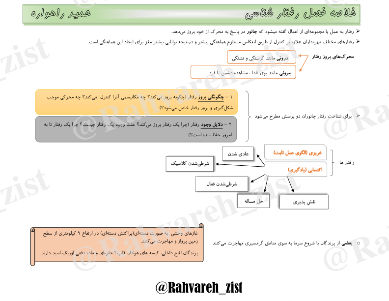 رفتار شناسی(جزوه) 🔬 نسخه کامل ✅