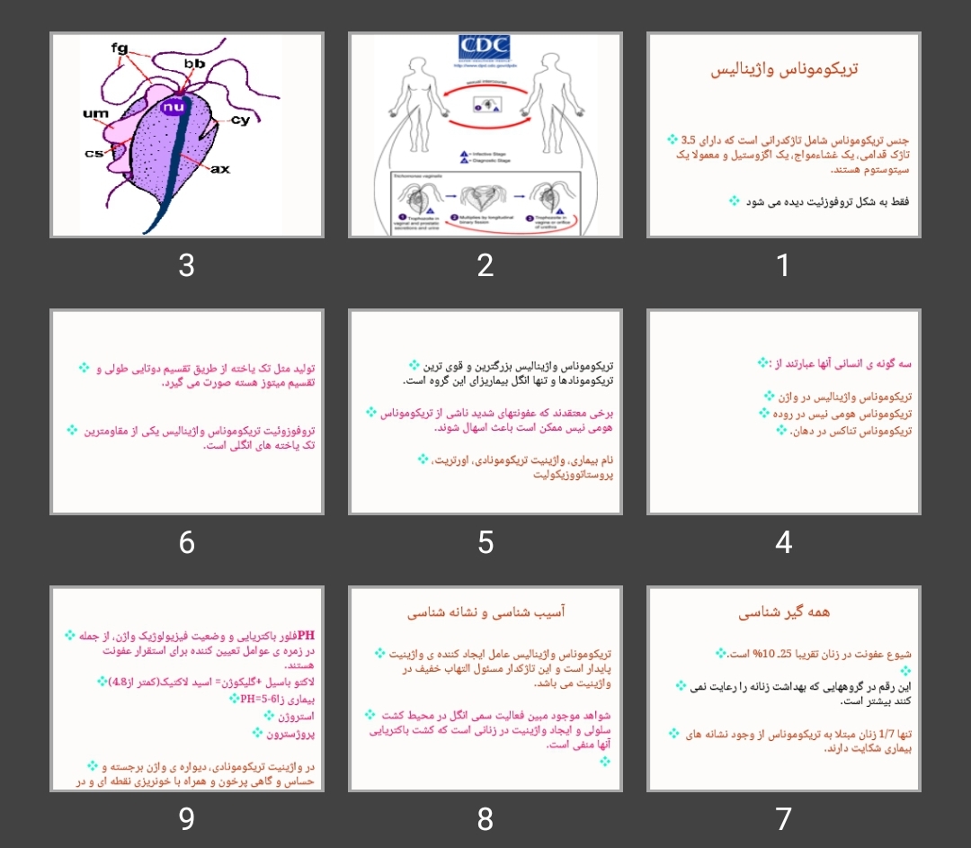 پاورپوینت تریکوموناس واژینالیس