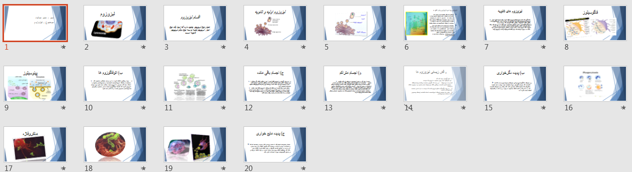 پاورپوینت لیزوزوم
