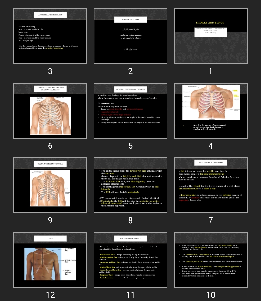 پاورپوینت Thorax and Lungs