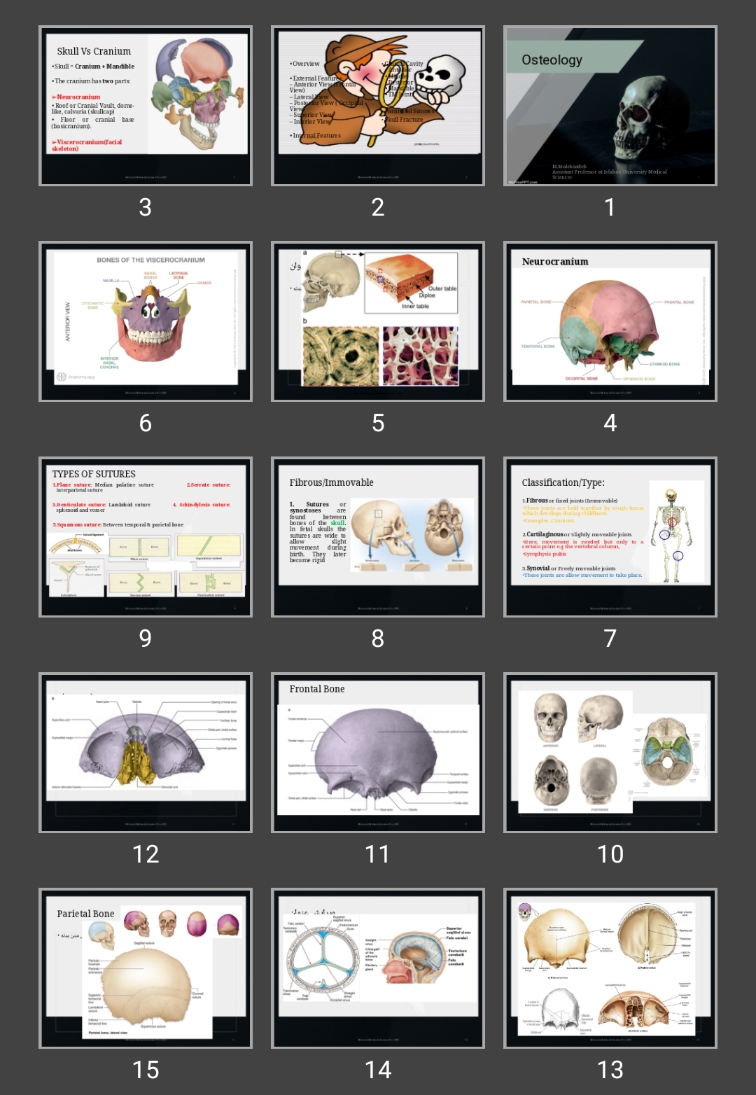 پاورپوینت Osteology