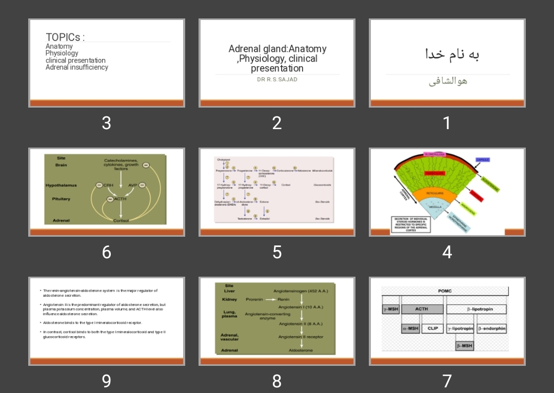 پاورپوینت Adrenal gland:Anatomy ,Physiology, clinical presentation