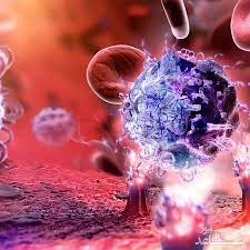   جزوه ایمونو عملی دانشگاه علوم پزشکی ایران