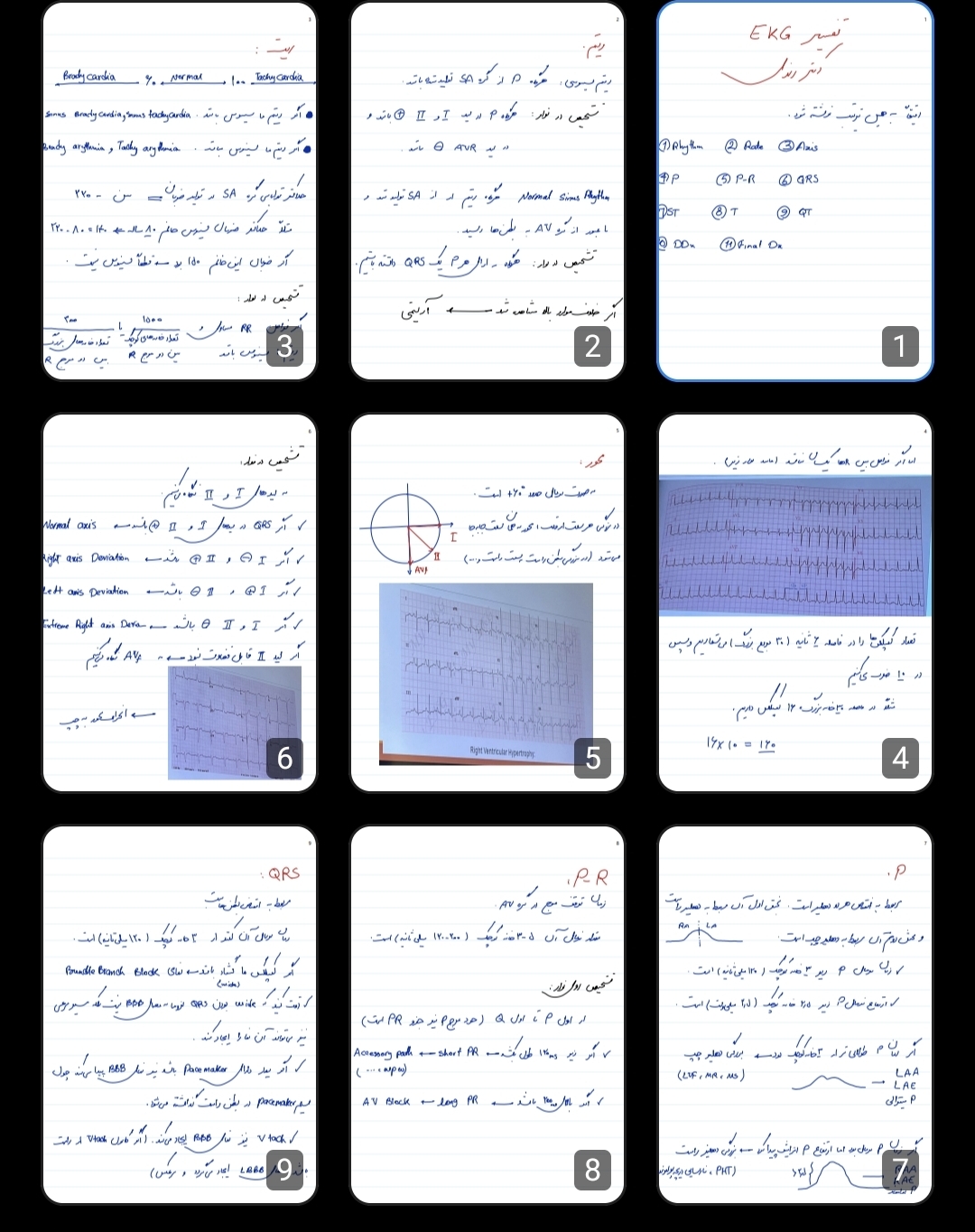 جزوه نوار قلب دکتر زندی