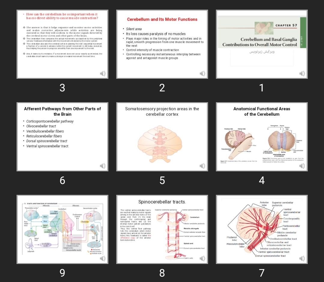 پاورپوینت the cerebellum
