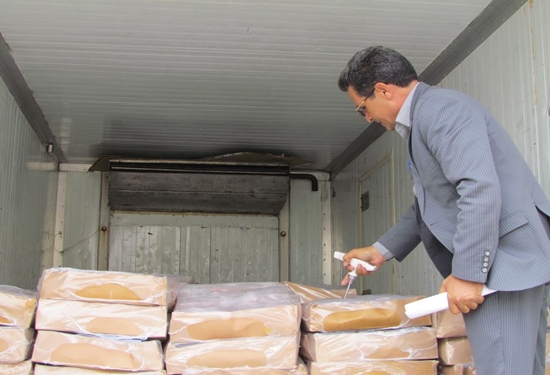 پکیج کاربردی تمام نکات بورد تخصصی رشته جراحی دامپزشکی