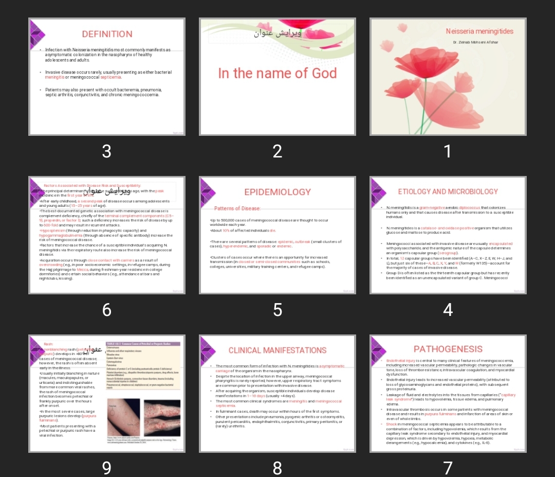 پاورپوینت Neisseria meningitides