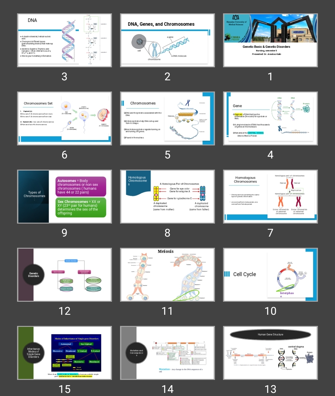 پاورپوینت Genetic Basic & Genetic Disorders