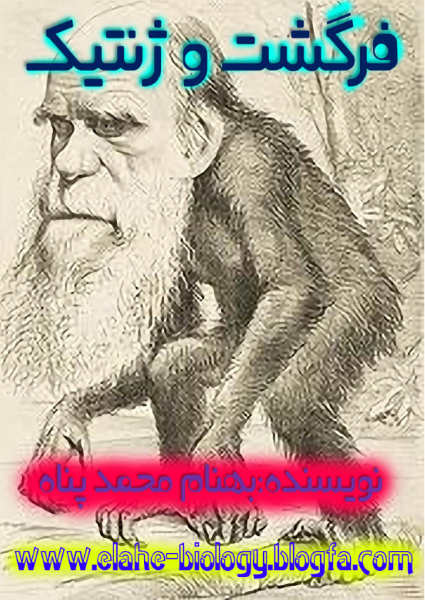 تکامل در ژنتیک 🔬 نسخه کامل ✅