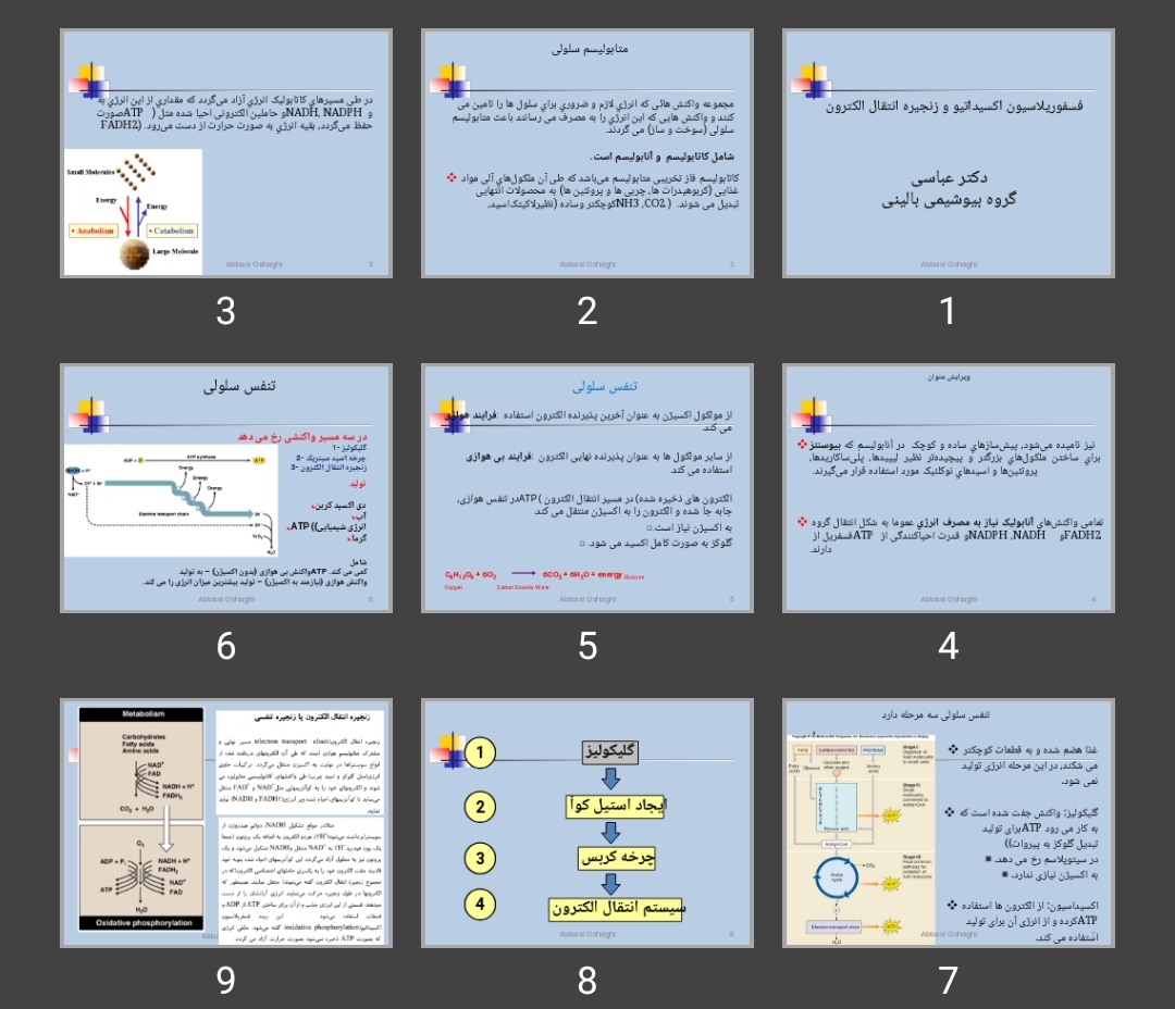 پاورپوینت فسفوریلاسیون اکسیداتیو و زنجیره انتقال الکترون