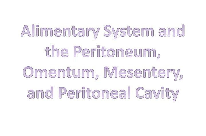 جزوه دستگاه گوارش و صفاق، امنتوم - ۱۳۱ صفحه