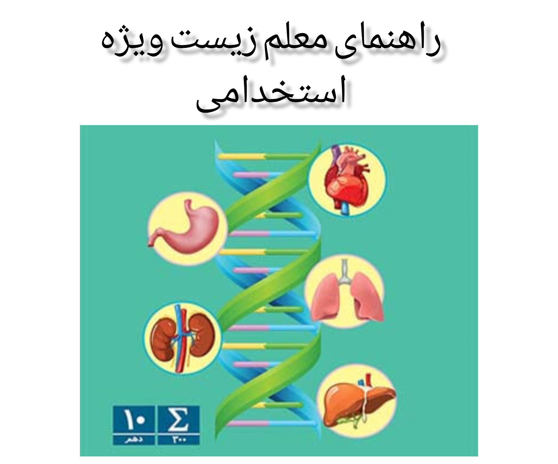 جدیدترین فایل های فاپول