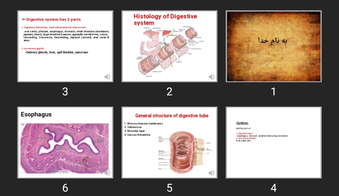 پاورپوینت Histology of Digestive system