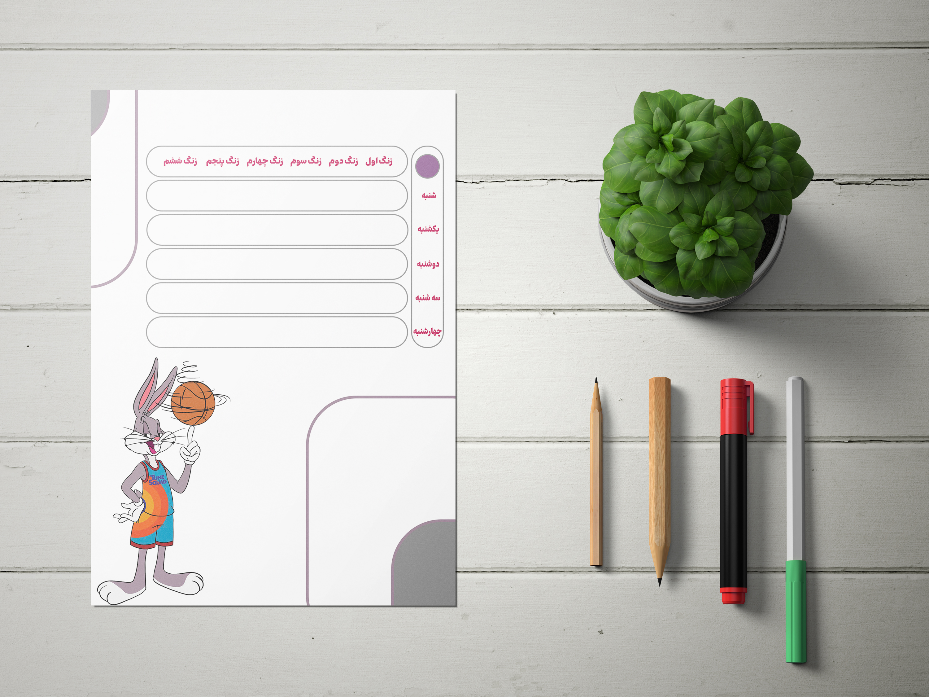 پلنر مدارس باگز بانی