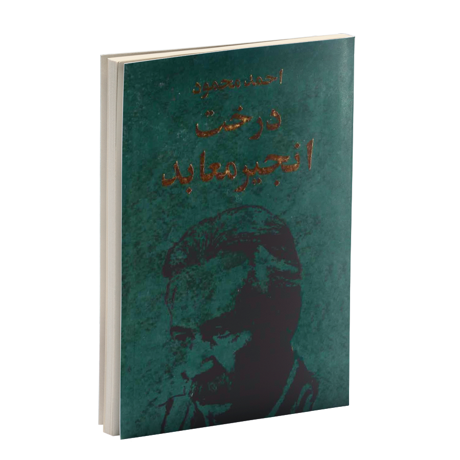کتاب درخت انجیر معابد (دوجلد)/ احمد محمود
