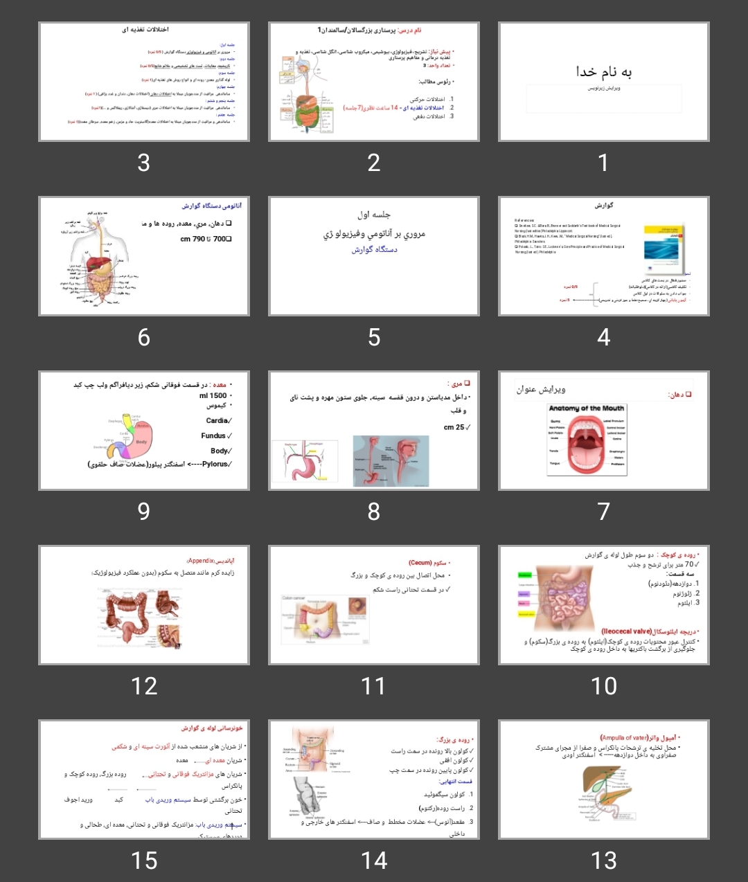 پاورپوینت مروری بر آناتومی و فيزيولوژی دستگاه گوارش