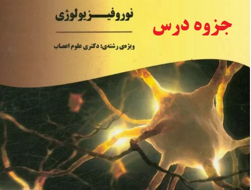 جزوه درس نوروفیزیولوژی مبحث حافظه pdf