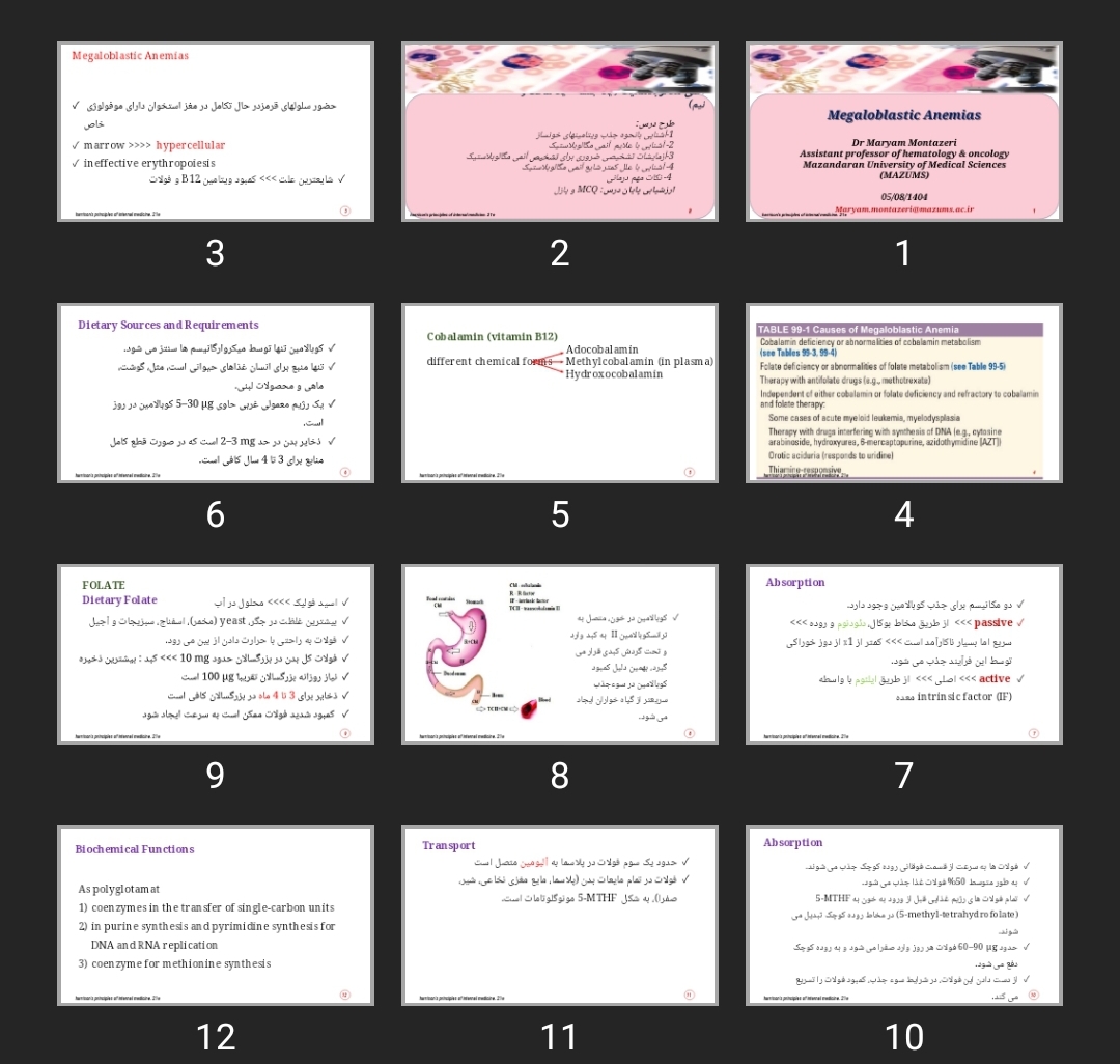پاورپوینت آنمی مگالوبلاستیک