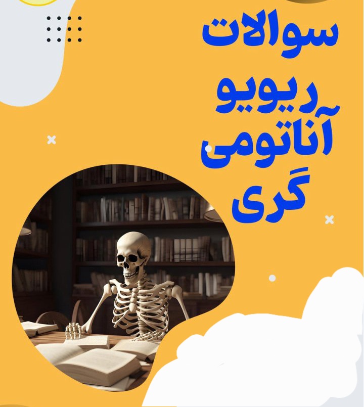 سوالات ریویو آناتومی گری (اندام تحتانی) - ۳۰ صفحه