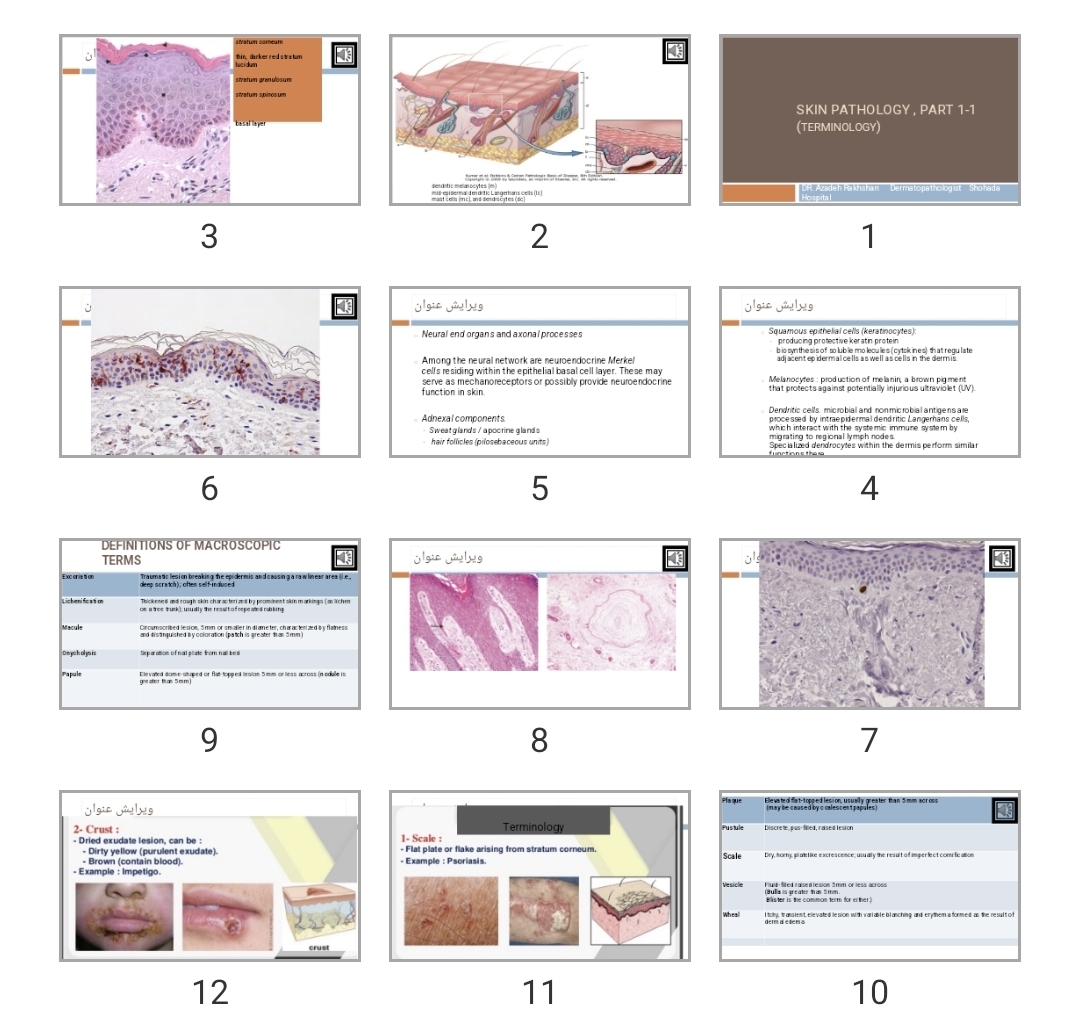 پاورپوینت Skin Pathology , part 1-1 (terminology)