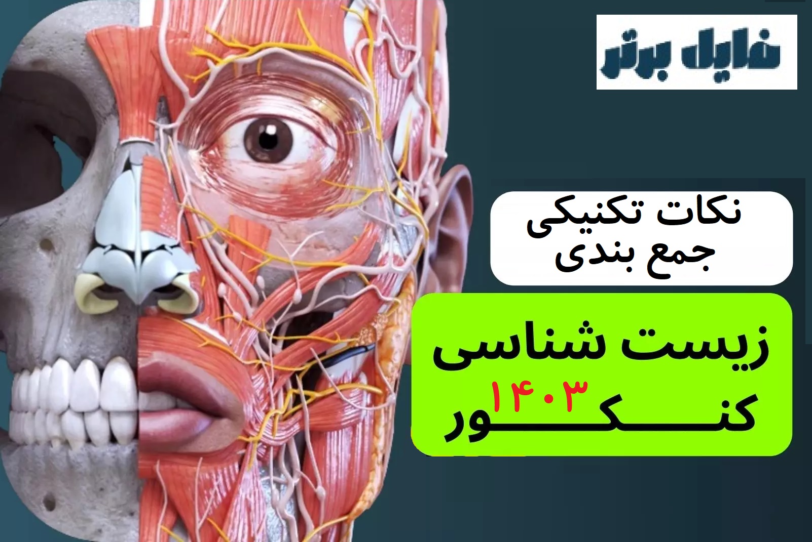 نکات تکنیکی جمعبندی زیست کنکور ۱۴۰۳ برای یک هفته آخر
