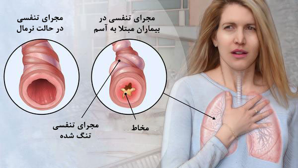 جدیدترین فایل های فاپول