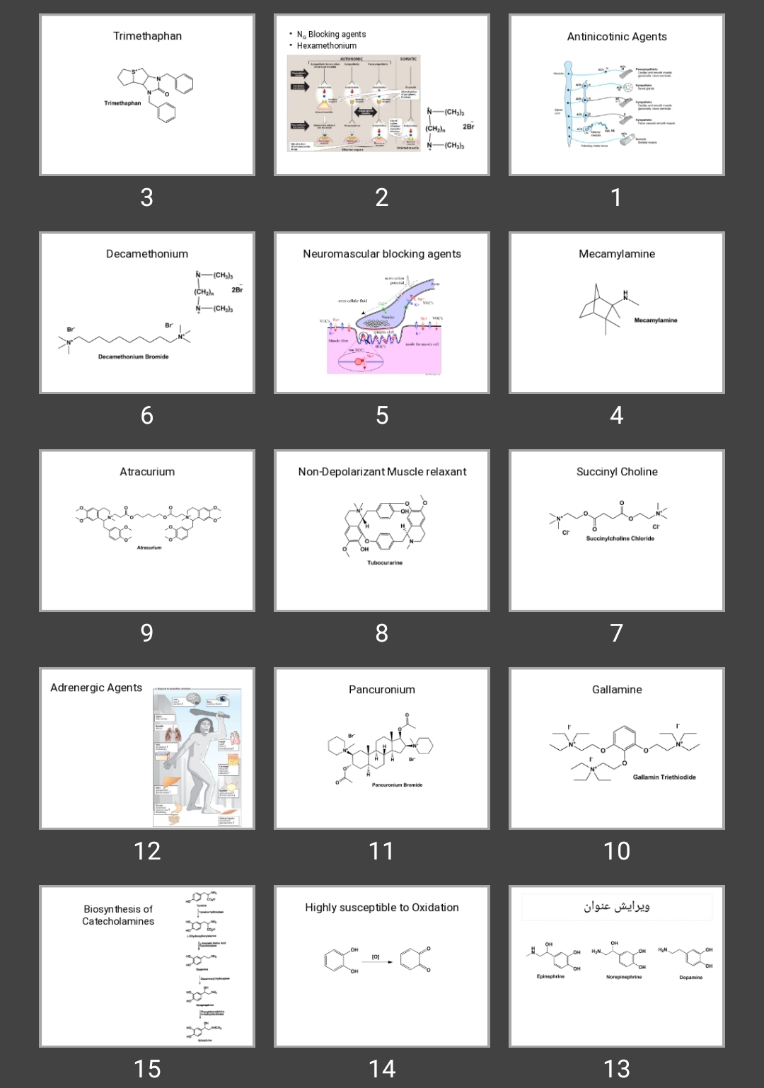 پاورپوینت Antinicotinic agents adrenergic