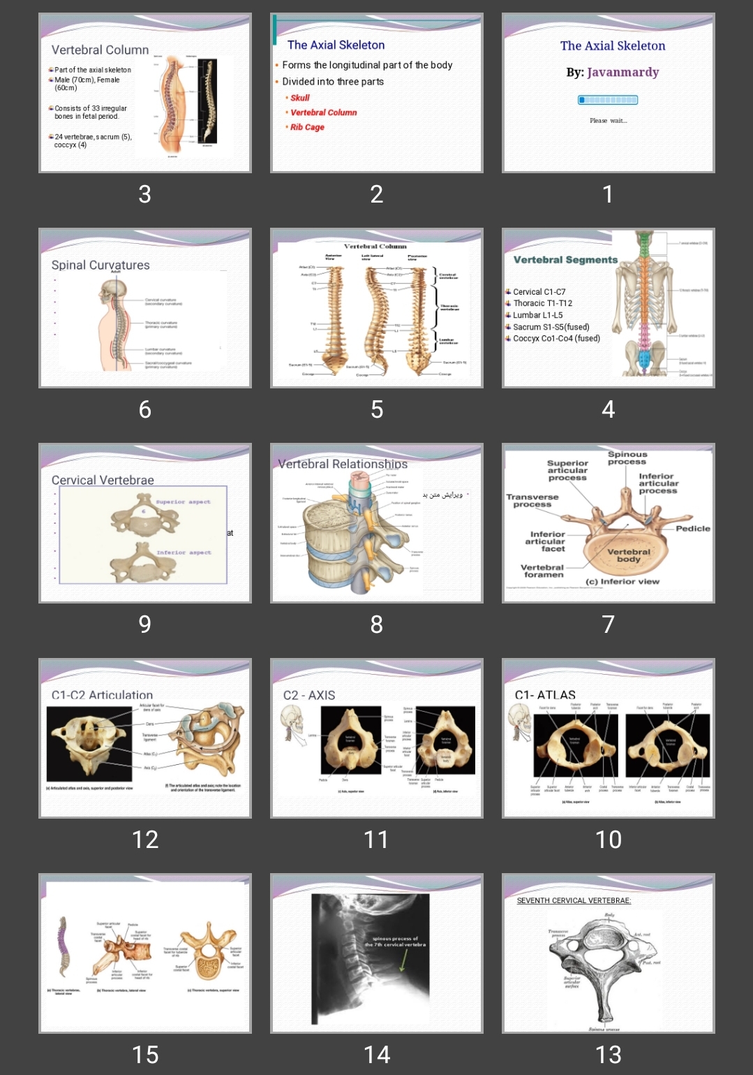 پاورپوینت (اسکلت محوری) The Axial Skeleton