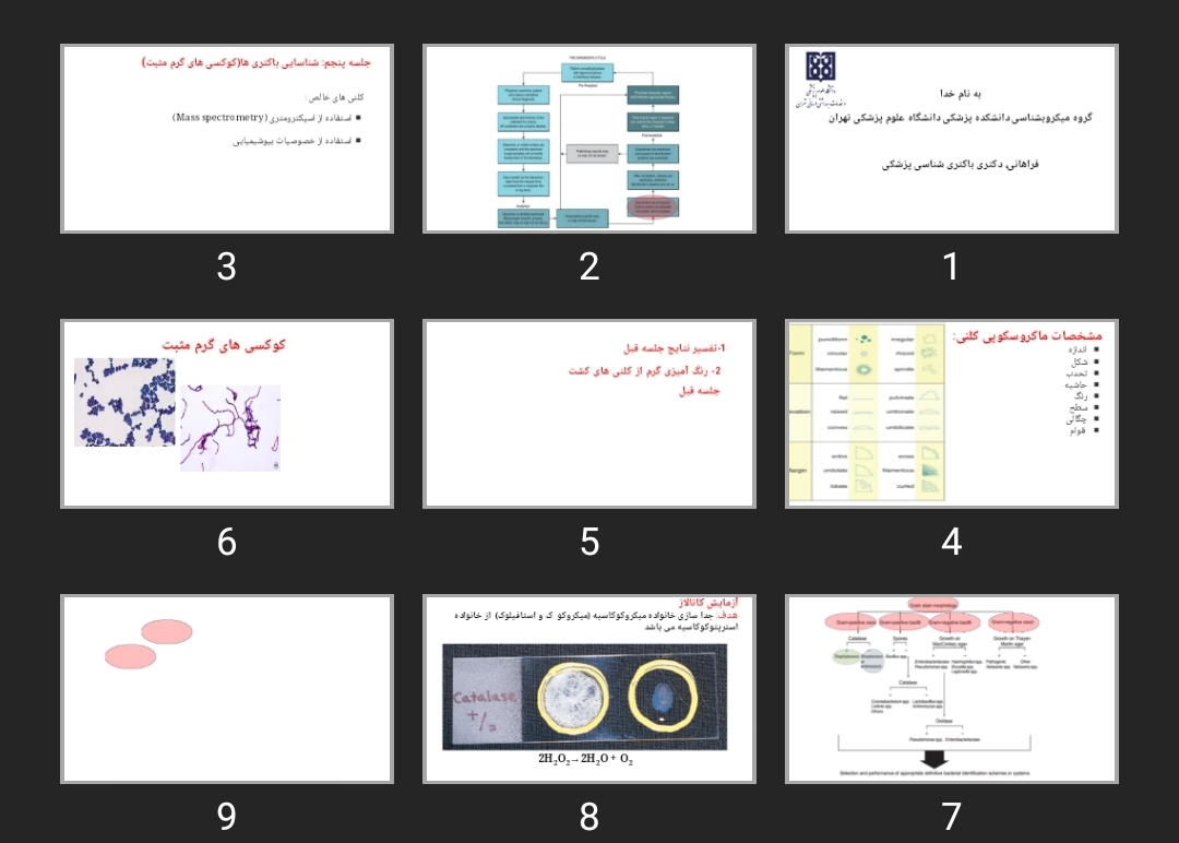 پاورپوینت روش‌های مختلف شمارش باکتری‌ها و کشت انواع استافیلوکوک‌ها