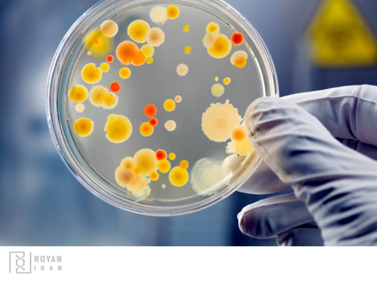 کنترل عملکرد محیط های کشت و مواد مورد استفاده در آزمایشگاه میکروبی