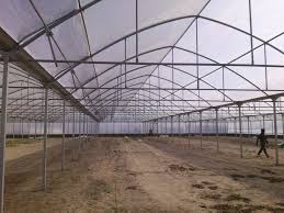 تحقیق چگونه یک گلخانه بسازیم؟