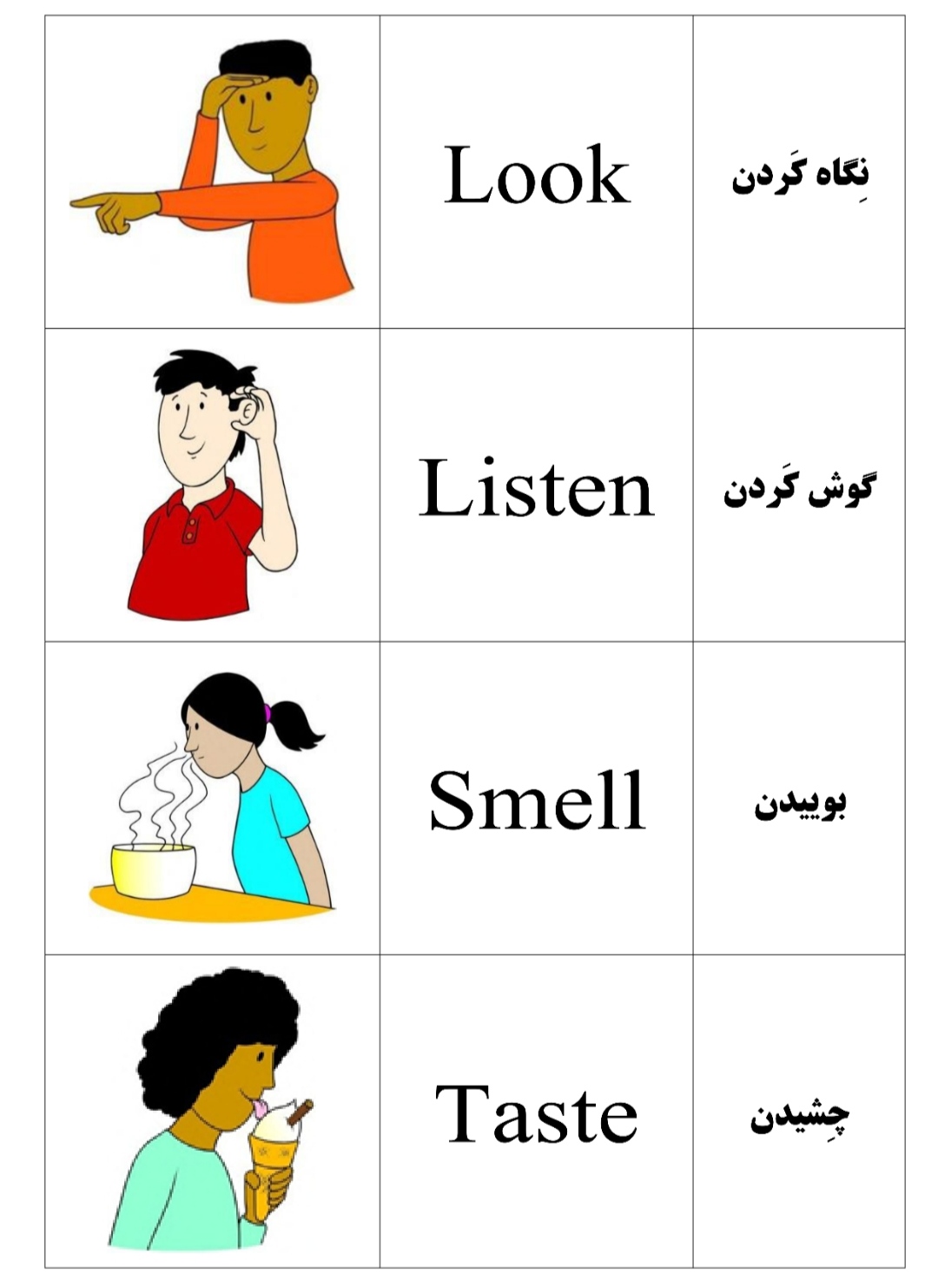 فلش کارت تصویری   انگلیسی _ فارسی  کودکان