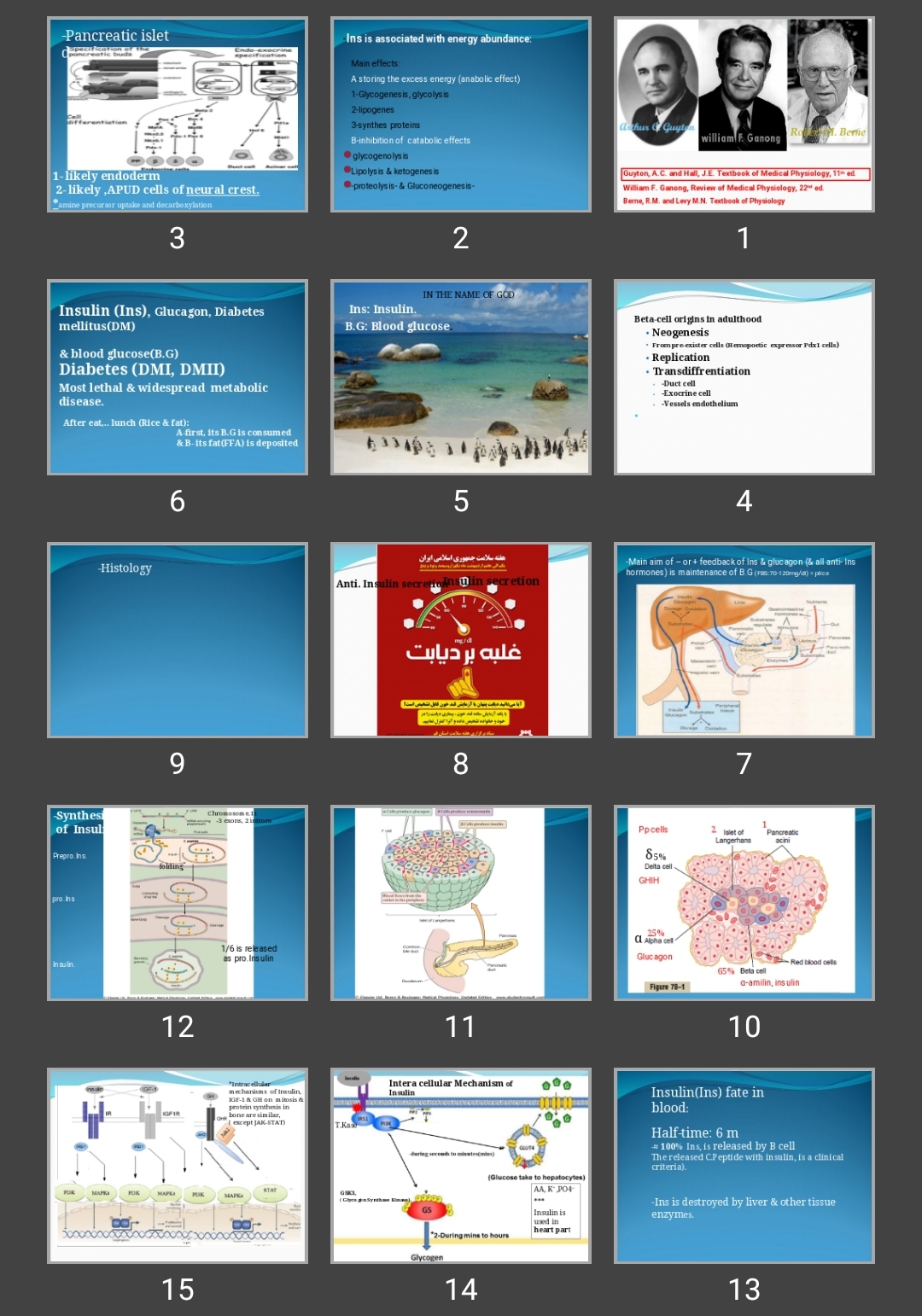 پاورپوینت pancreatic gland.dm