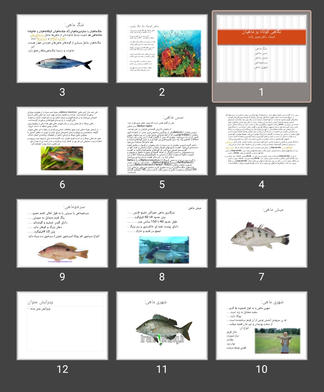 پاورپوینت نگاهی کوتاه بر ماهیان