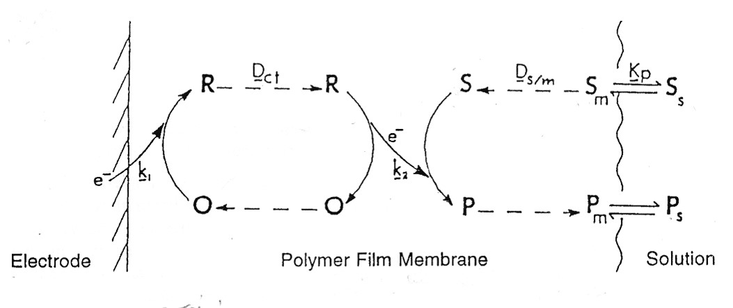 الکترودهای اصلاح شده شیمیایی، Chemically Modified Electrodes
