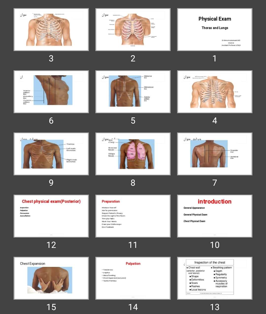 پاورپوینت Physical Exam Thorax and Lungs