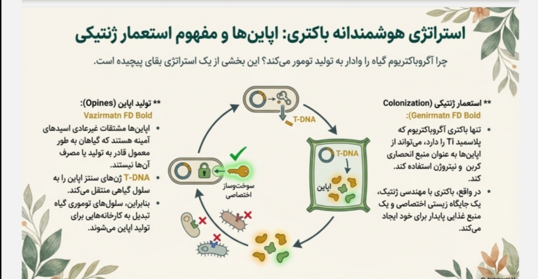 پاورپوینت تخصصی /PDF فصل 15 - مبحث روش‌های انتقال ژن در بیوتکنولوژی گیاهی