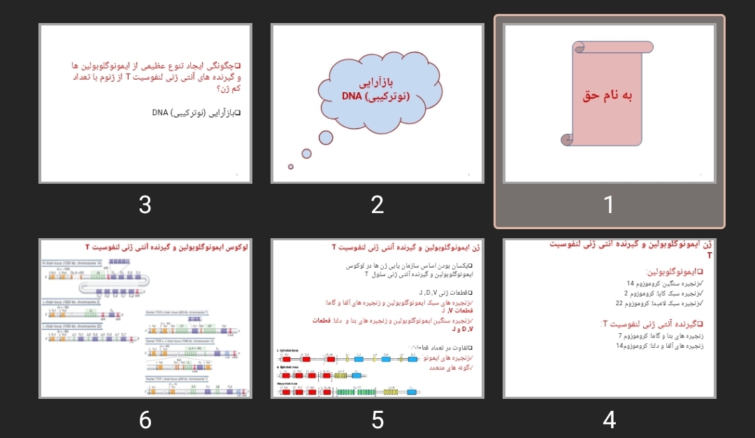 پاورپوینت DNA rearrangement