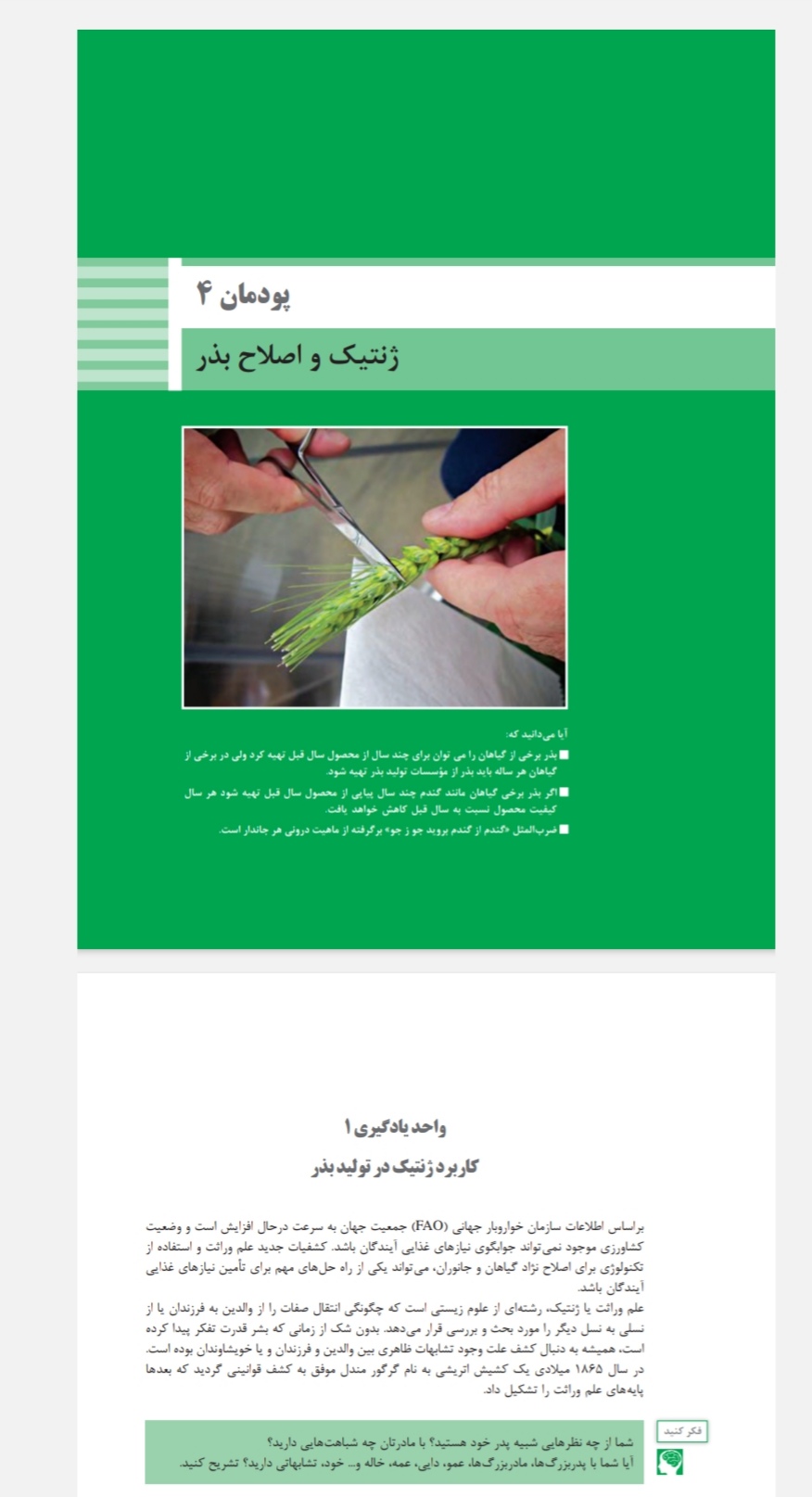 جدیدترین فایل های فاپول